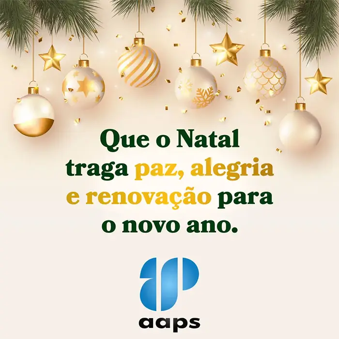 Mensagem de Natal: Que o Natal traga paz, alegria e renovação para o novo ano.